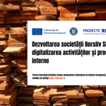 Dezvoltarea societății Borsilv SRL prin digitalizarea activităților/ proceselor interne